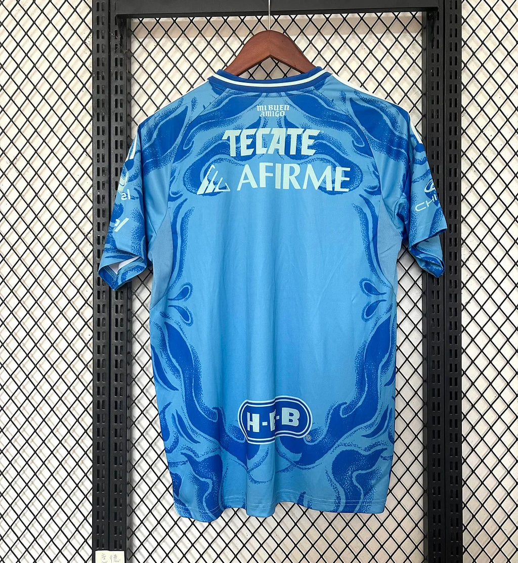 2025/2026 Visita Tigres