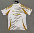 2024/2025 Visita Tigres