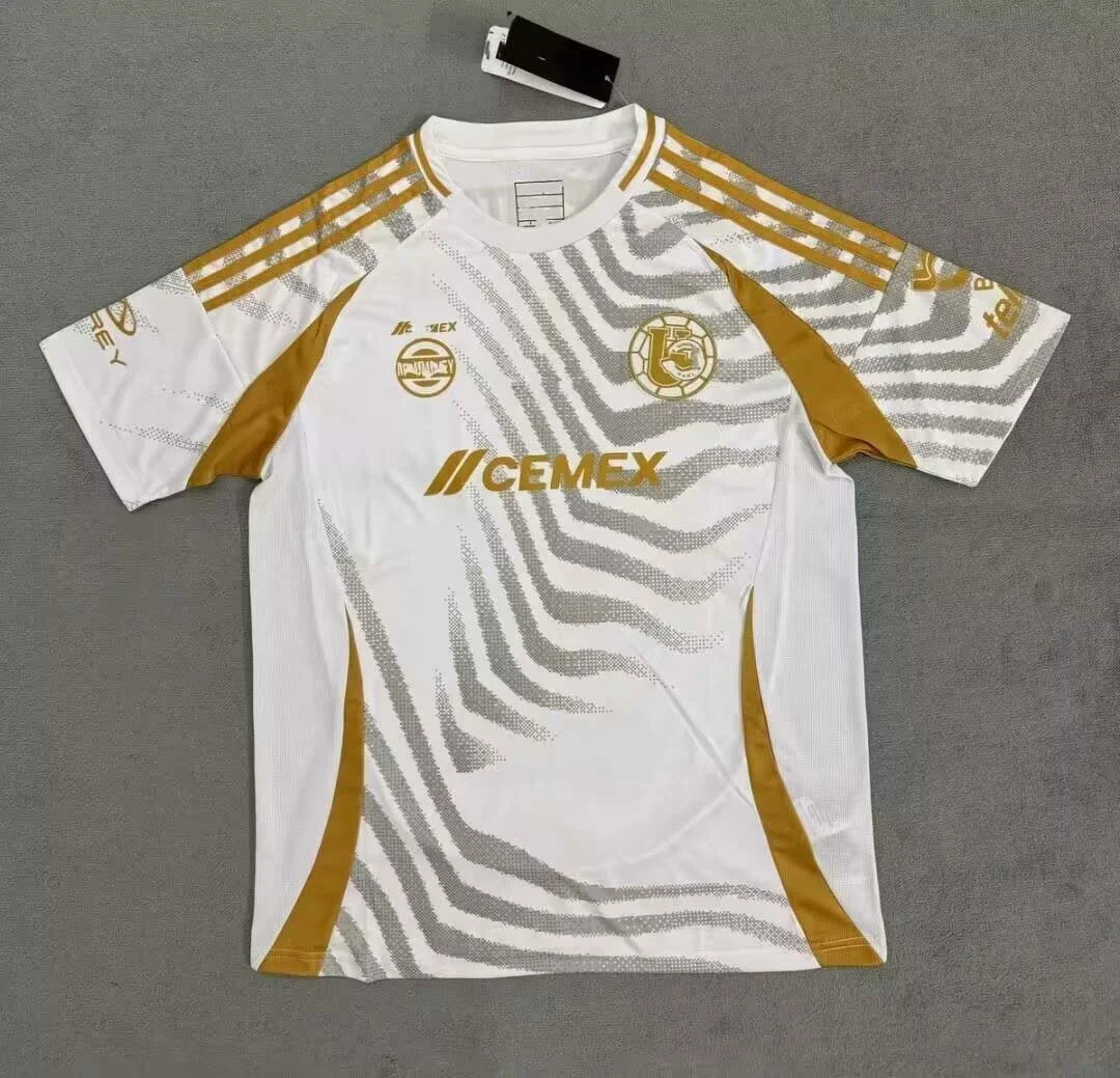 2024/2025 Visita Tigres